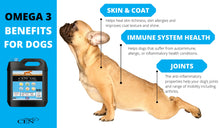 Load image into Gallery viewer, CEN Oil for Dogs