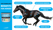 Load image into Gallery viewer, CEN Xtrabalance