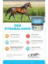 Load image into Gallery viewer, CEN Xtrabalance