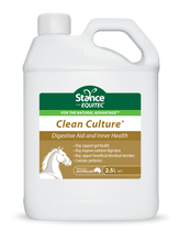 Load image into Gallery viewer, Stance Clean Culture