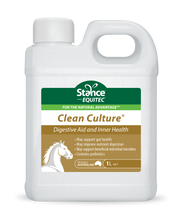 Load image into Gallery viewer, Stance Clean Culture