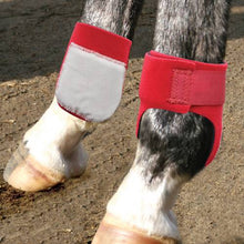 Load image into Gallery viewer, Professional Choice Rear Ankle Boots