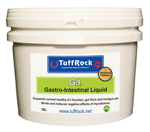 Load image into Gallery viewer, TuffRock G.I.