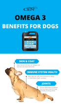 Load image into Gallery viewer, CEN Oil for Dogs