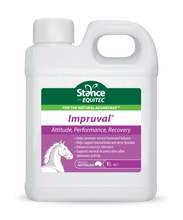 Load image into Gallery viewer, Stance Impruval