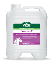 Load image into Gallery viewer, Stance Impruval