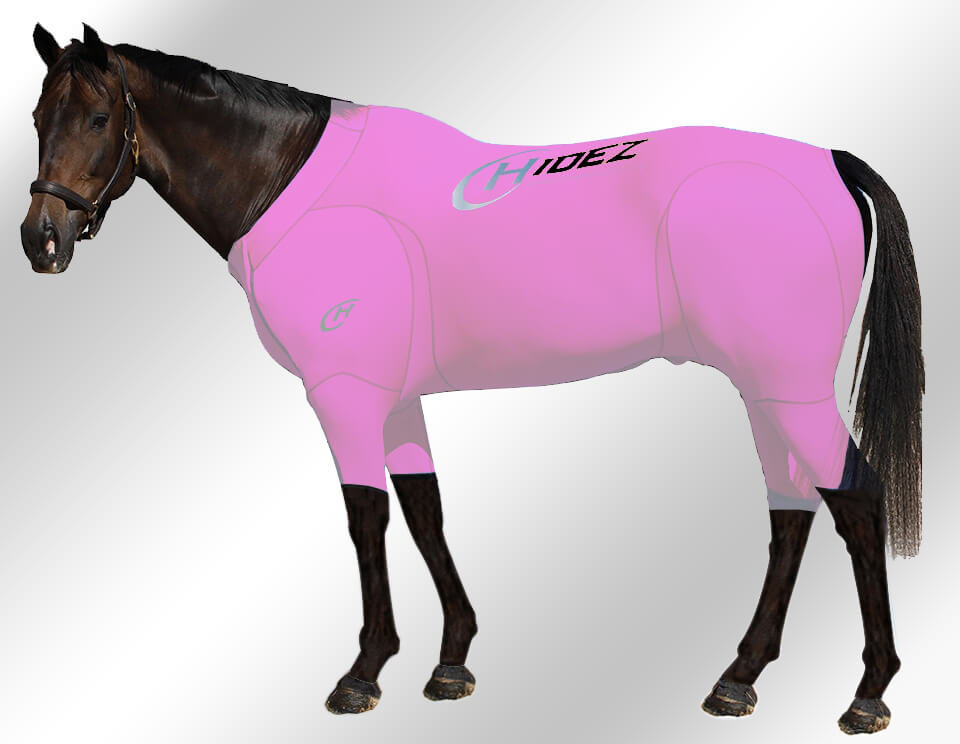 EQUINE-ACTIVE-SUIT-AQUAMARINE