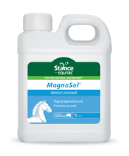 Load image into Gallery viewer, Stance MagnaSol