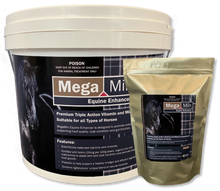 Load image into Gallery viewer, MegaMin Equine Enhancer