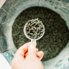 Load image into Gallery viewer, Poseidon Animal Health Digestive VM