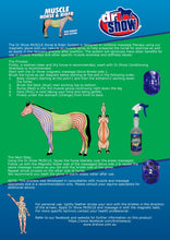 Load image into Gallery viewer, Dr Show Muscle Horse & Rider System