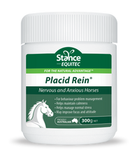 Load image into Gallery viewer, Stance Placid Rein