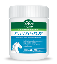 Load image into Gallery viewer, Stance Placid Rein PLUS