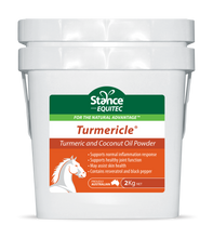 Load image into Gallery viewer, Stance Turmericle