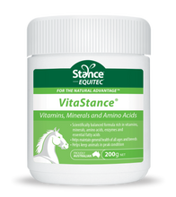 Load image into Gallery viewer, Stance VitaStance