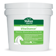 Load image into Gallery viewer, Stance VitaStance