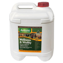 Load image into Gallery viewer, Anitone