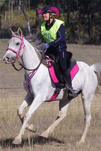 Load image into Gallery viewer, Performa Ride Australian Made Compression Riding Tights