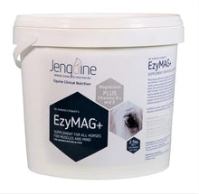 Load image into Gallery viewer, Jenquine EzyMag+