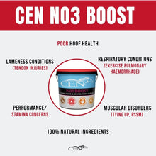 Load image into Gallery viewer, CEN No3 Boost