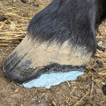 Load image into Gallery viewer, The Hoof Co. - Hoof IX Blue Squeezable Hoof Liquid
