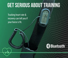 Load image into Gallery viewer, Horsepal Training Belt with Extension
