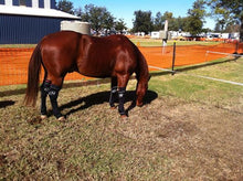 Load image into Gallery viewer, Hidez Equine Compression Socks - Black
