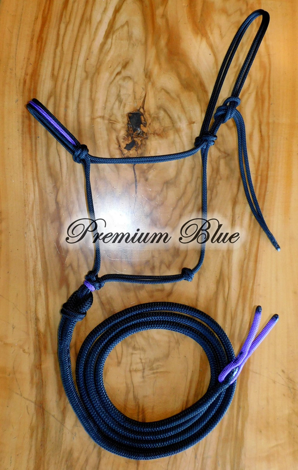 Insert Halter & Lead Set - Endurance 