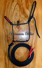 Load image into Gallery viewer, Insert Halter &amp; Lead Set - Endurance &quot;Trot Out&quot; Set
