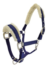 Load image into Gallery viewer, Zilco Dazzle Equestrian Halter
