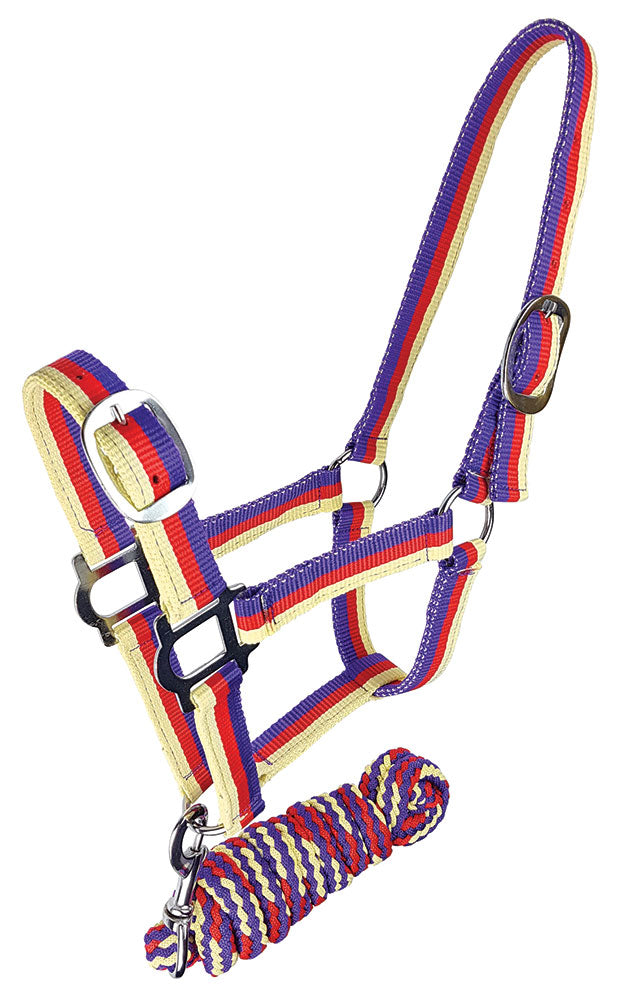 Zilco Brite Halter & Lead Set