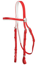 Load image into Gallery viewer, Race Bridle with White Trim
