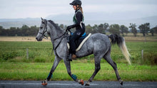 Load image into Gallery viewer, Alfa Equestrian Ladies Endurance Tights - INK BLACK
