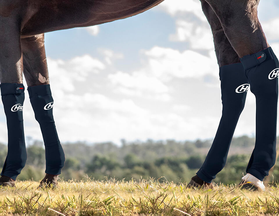 Hidez Equine Seamless Compression Socks (double thickness) - Black