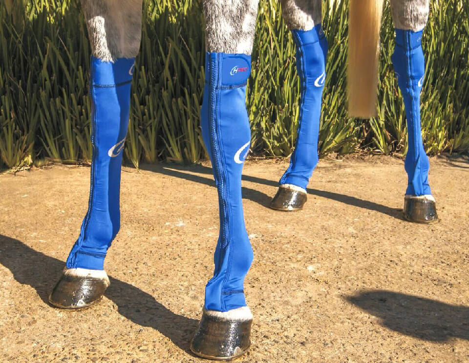 Hidez Equine Compression Socks (single thickness) - Blue