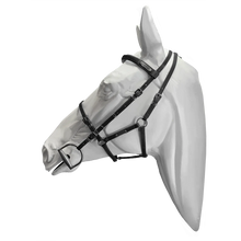 Load image into Gallery viewer, Setzi Competition Bridle and Halter Beta
