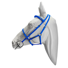 Load image into Gallery viewer, Setzi Competition Bridle and Halter Beta
