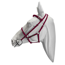 Load image into Gallery viewer, Setzi Competition Bridle and Halter Beta
