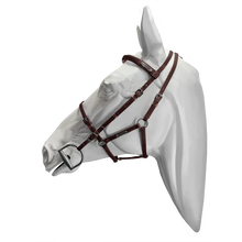 Load image into Gallery viewer, Setzi Competition Bridle and Halter Beta
