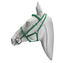 Load image into Gallery viewer, Setzi Competition Bridle and Halter Beta

