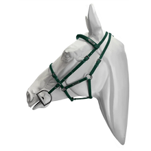 Load image into Gallery viewer, Setzi Competition Bridle and Halter Beta
