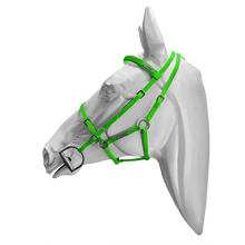Load image into Gallery viewer, Setzi Competition Bridle and Halter Beta

