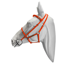 Load image into Gallery viewer, Setzi Competition Bridle and Halter Beta
