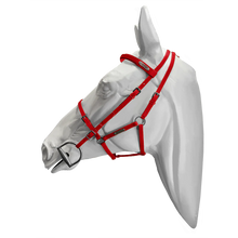Load image into Gallery viewer, Setzi Competition Bridle and Halter Beta
