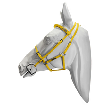 Load image into Gallery viewer, Setzi Competition Bridle and Halter Beta
