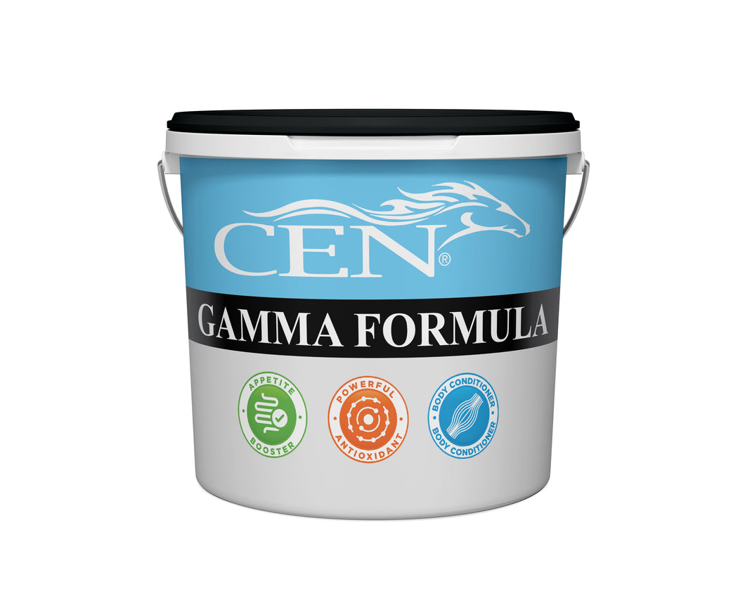 CEN Gamma Formula