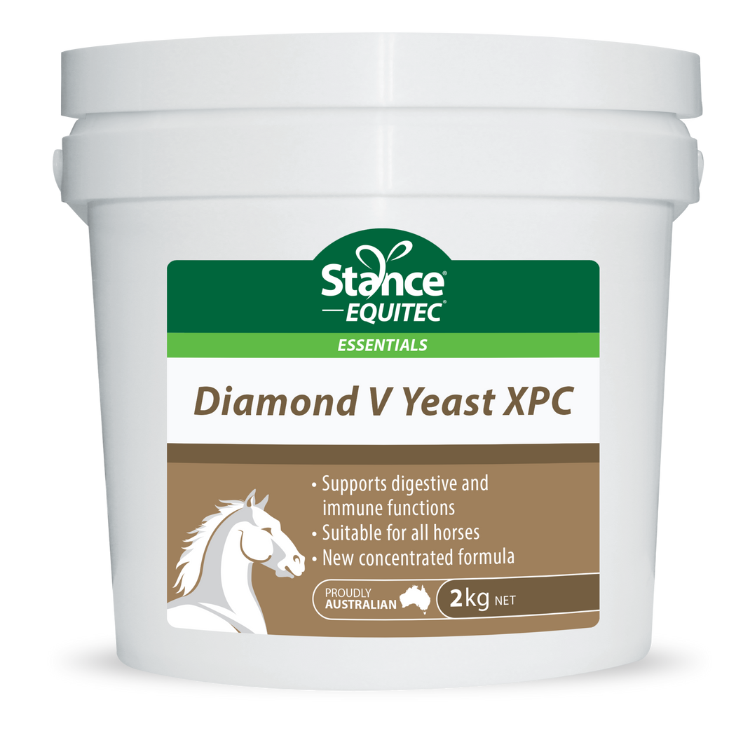 Stance Diamond V Yeast XPC