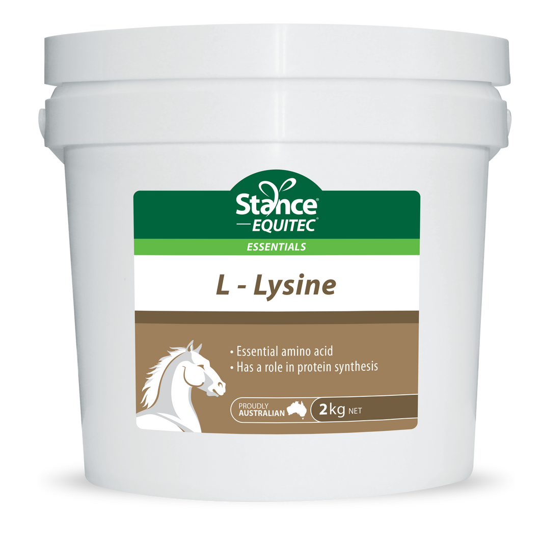 Stance Lysine