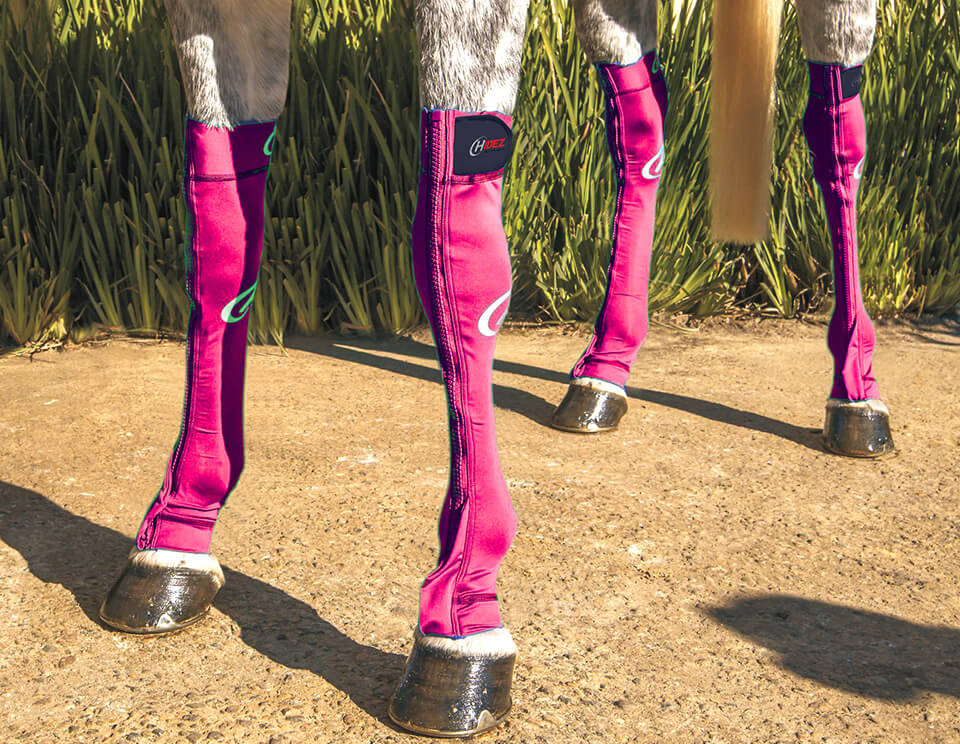 Hidez Equine Compression Socks (single thickness) - Magenta