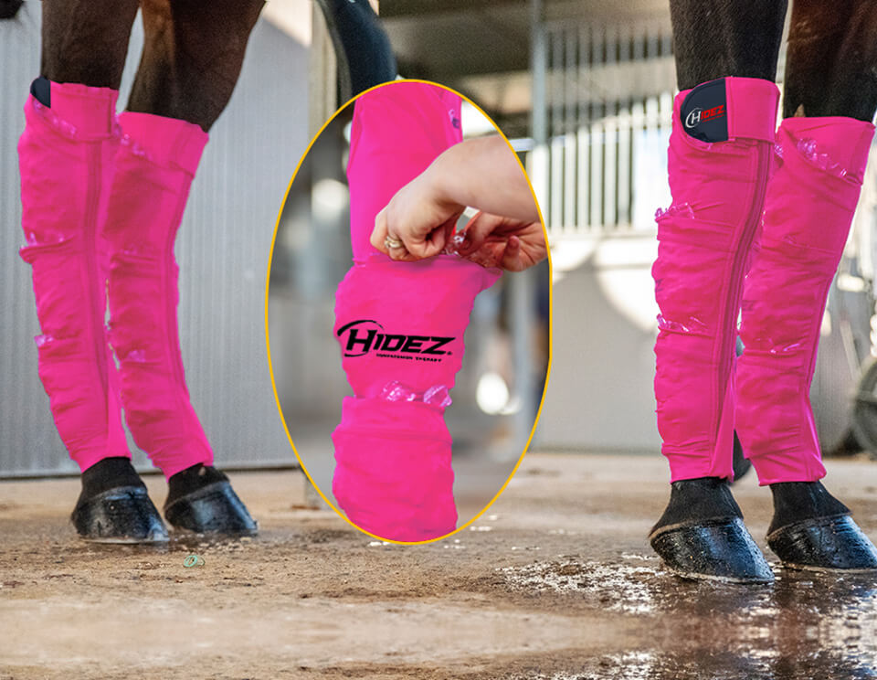 Hidez Equine Seamless Ice Compression Socks (3 pocket double thickness) - Magenta